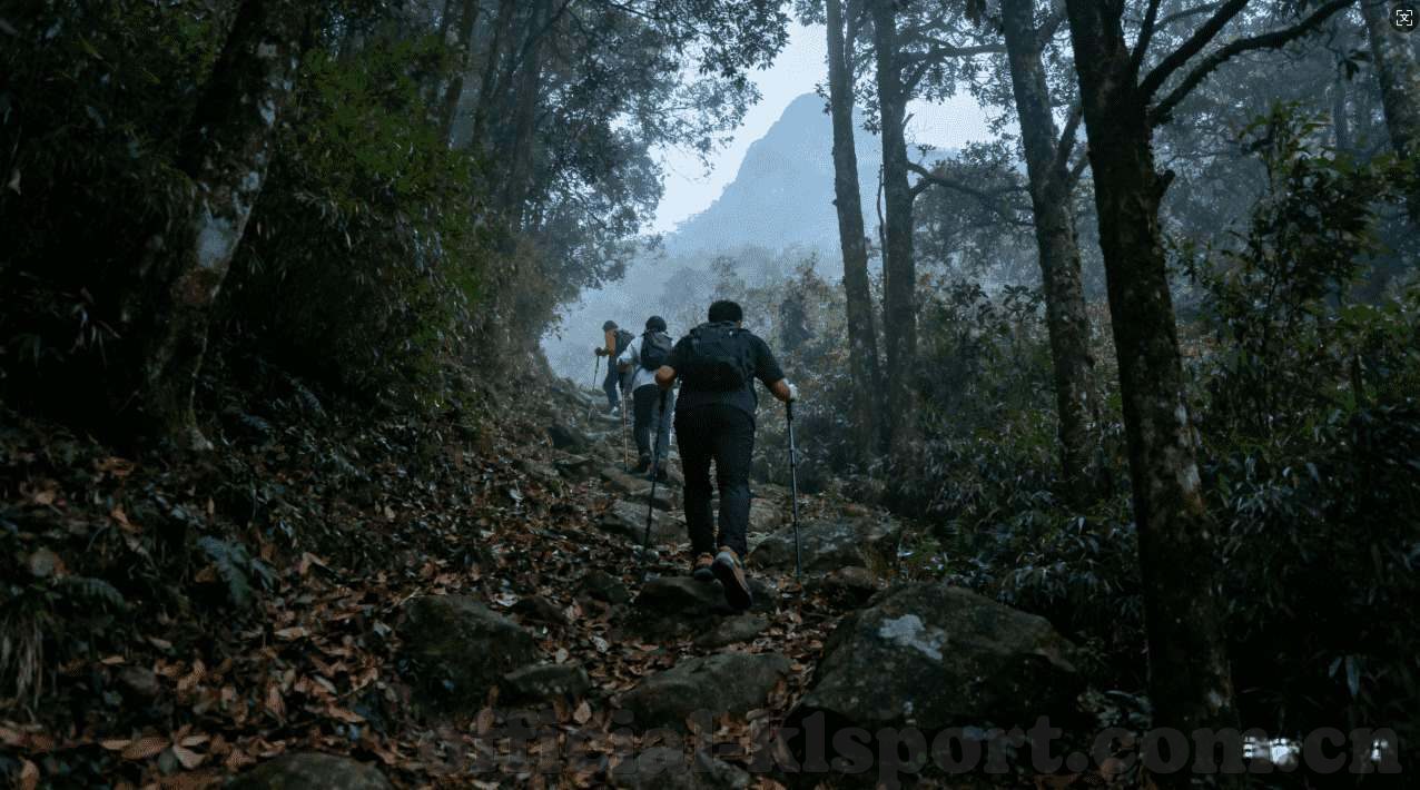 微信群炸金花平台-微信群炸金花平台的兴起与监管挑战
